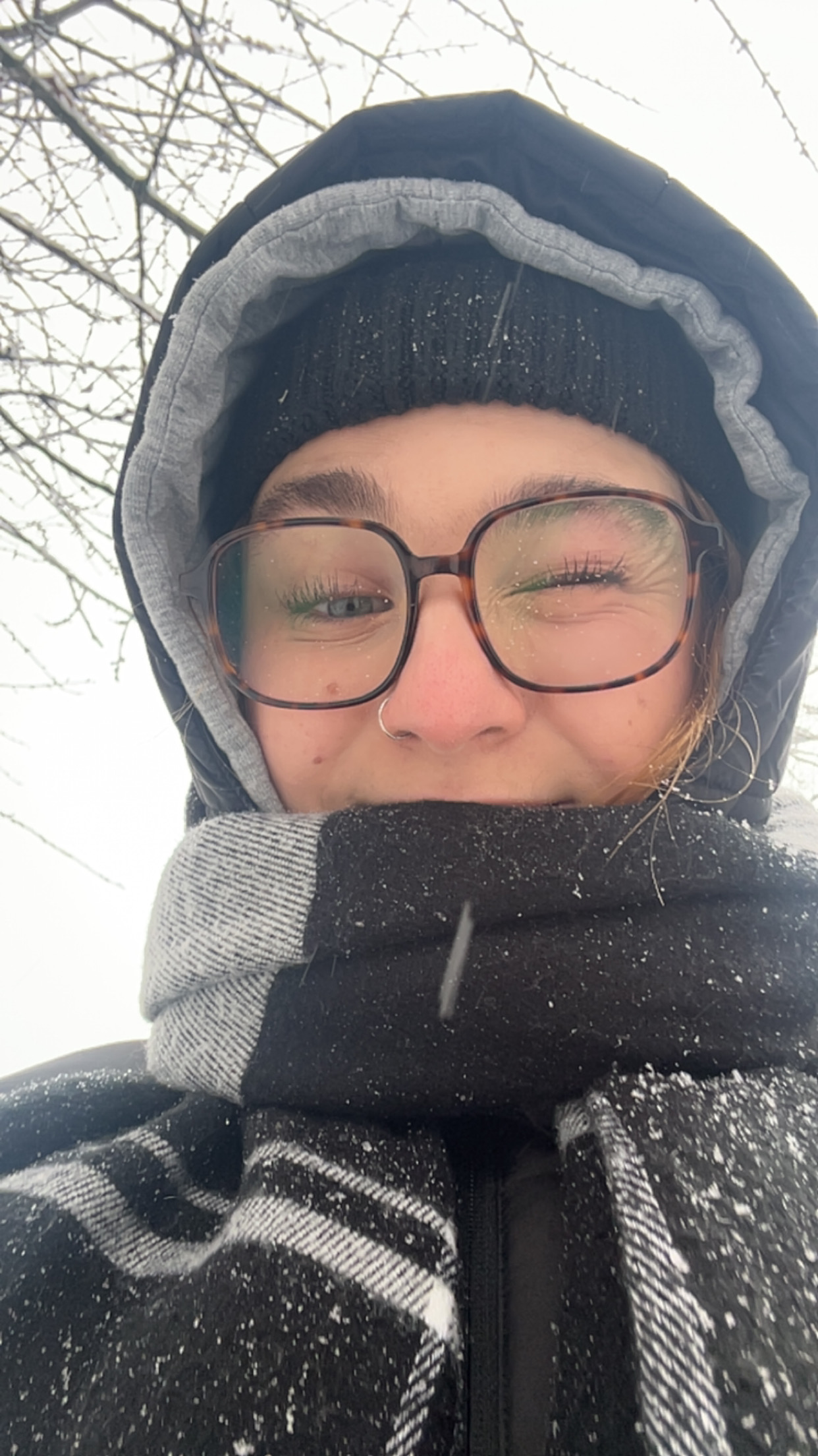 Bild-Collage aus Fotos in grellen Farben mit negativen Farbfilter-Effekten